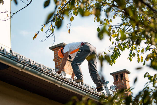 Best Roof Restoration Services  in Grand Mound, WA